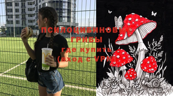 дживик Киреевск